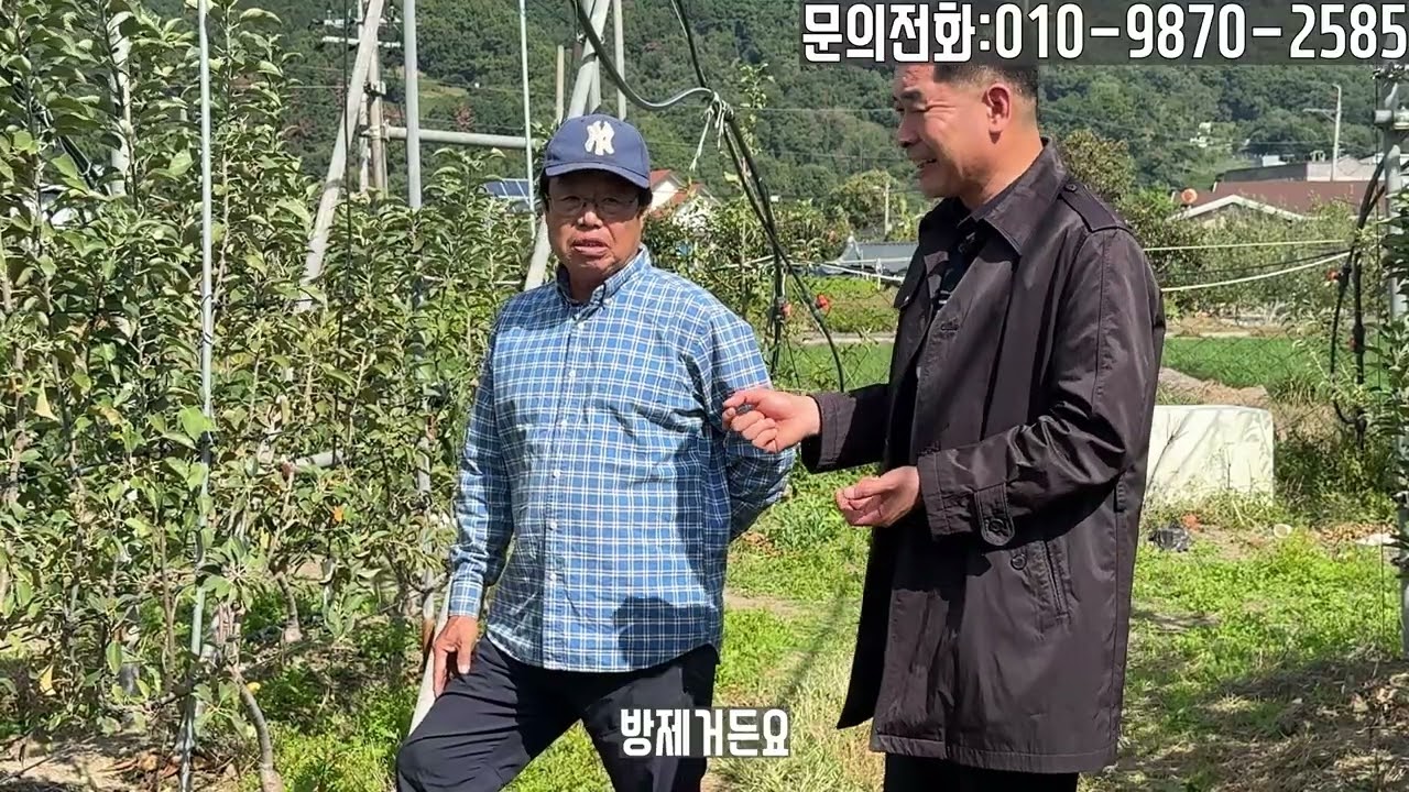 2025년 2월 28일까지 저희 경영농원에서 사과 실습농원 선착순 모집을 진행합니다