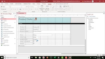 Review Assignment for Chapter 4 - Access