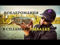 Drift fishing - сплавная рыбалка, часть 2. Про воблеры.