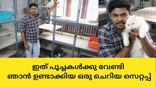 വീടിനകത്ത് ഞാൻ ചെയ്യുന്ന പൂച്ചകൾക്കു മാത്രമായുള്ള ബോർഡിങ് | Cat Boarding In Kerala | Cat Hostel