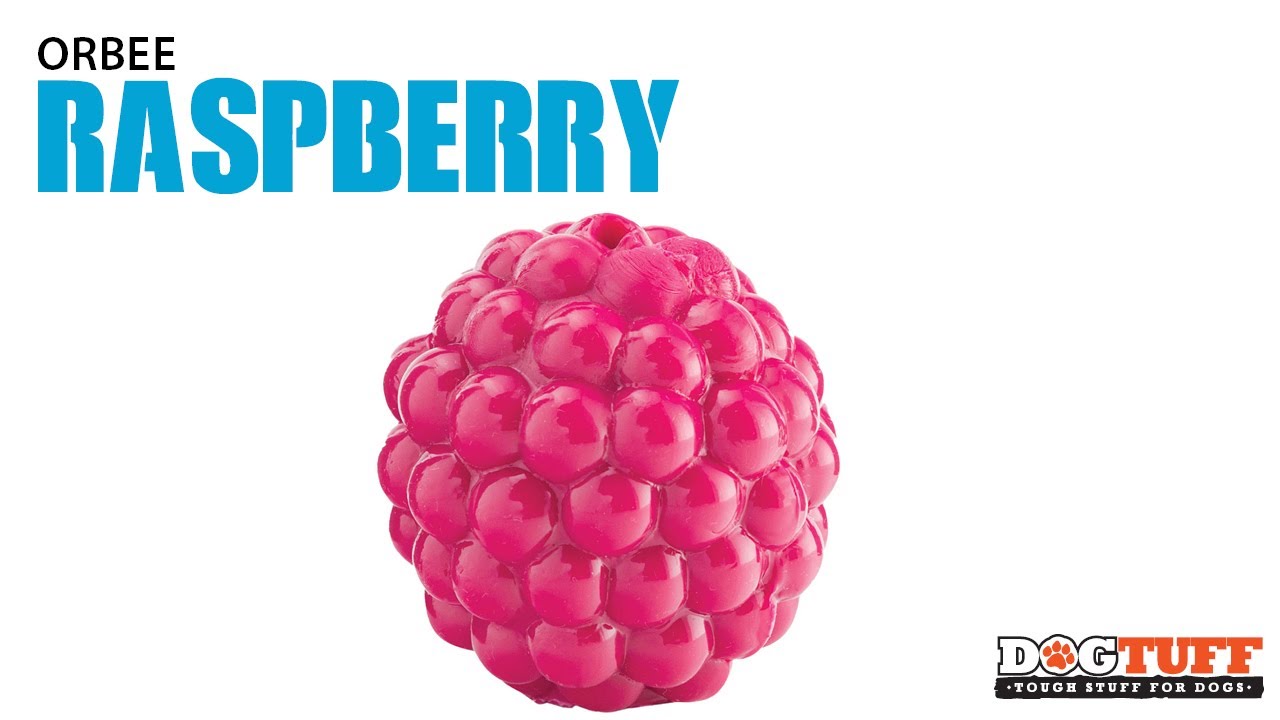 Planet Dog Orbee Tuff Raspberry - YouTube