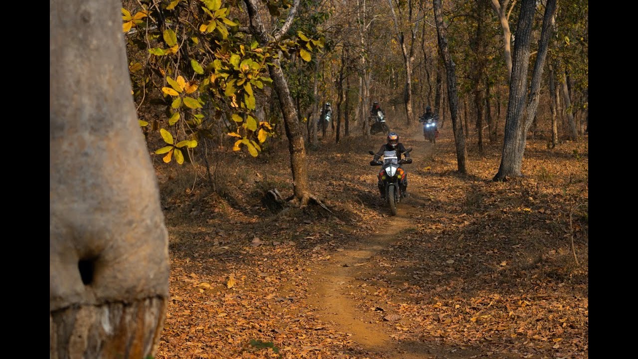 March Mayhem 2024 | Aftermovie