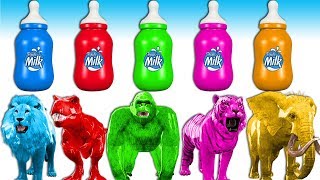 Learn Colors With Milk Bottles For Kids - Learn Wild Animals Names & Sounds | Finger Family Songs