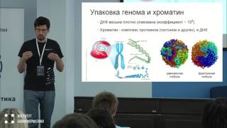 Практическая биоинформатика: обработка данных NGS | Александр Предеус