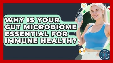Why Is Your Gut Microbiome Essential For Immune Health? - All About the Immune System