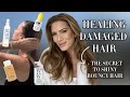 How i healed my damaged hair the secret to shiny  bouncy hair my full routine