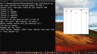 Turtle Racing in Python