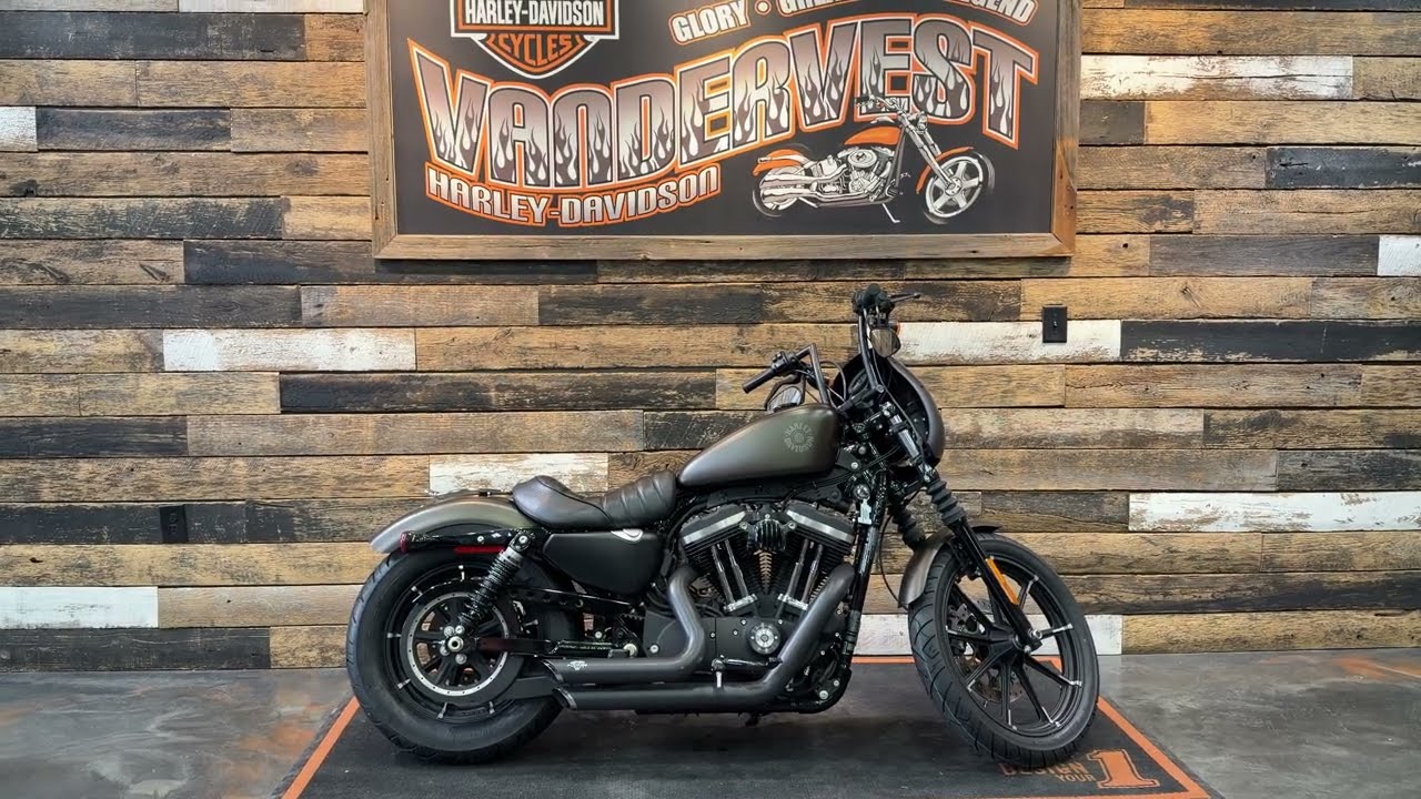 2021 Harley-Davidson Sportster Iron 883 in River Rock Gray Denim