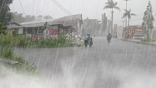 Heavy rain, in my village, cold, erasing insomnia, falling asleep because of the sound of rain by village rain vlog 9,128 views 2 months ago 3 hours