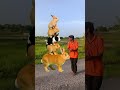 5 rabbit   are stacked layer by layer. The dog at the bottom is really amazing