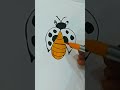 How to draw a ladybug  drawing easydrawing youtubeshorts art riyabajeth