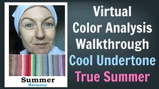 Summer Color Palette - Virtual Color Analysis | Cool Skin Undertone | What Colors Work for You screenshot 5