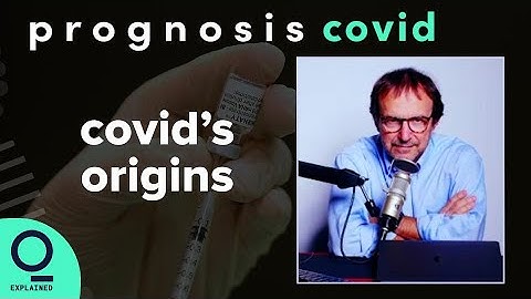 A Look at Covid Origin Theories | Prognosis: Covid UNCUT