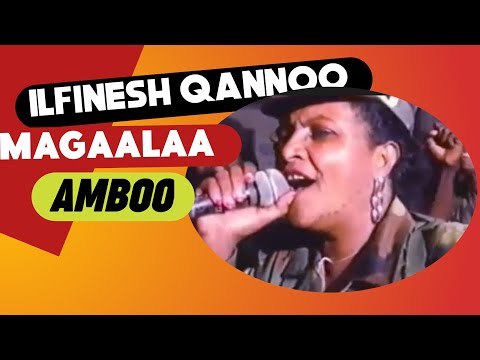 Ilfinesh Qannoo Music New Oromo Music HD Best Oromo Music Magaalaa Amboo 2019 Oromo Media