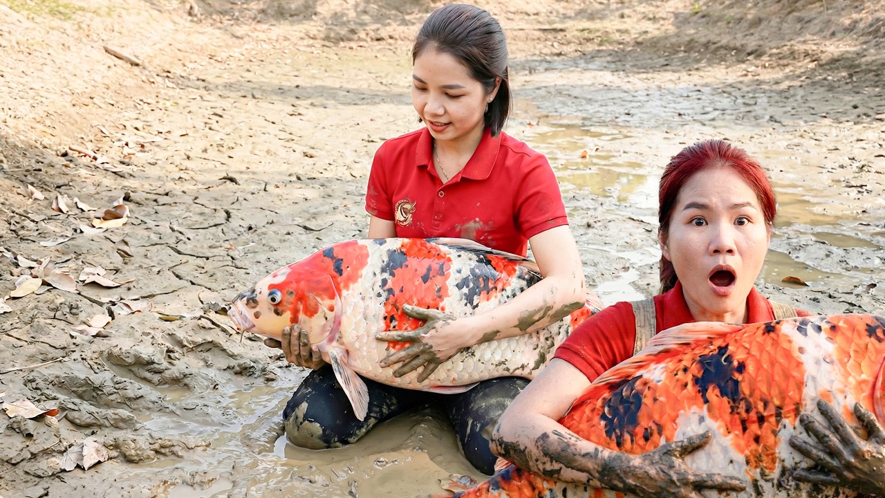 TIMELAPSE –365 Days Harvesting Catching 1000kg+ Monster Carp & Go to Market Sell Giant Catfish