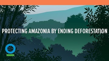 Protecting Amazonia by Ending Deforestation