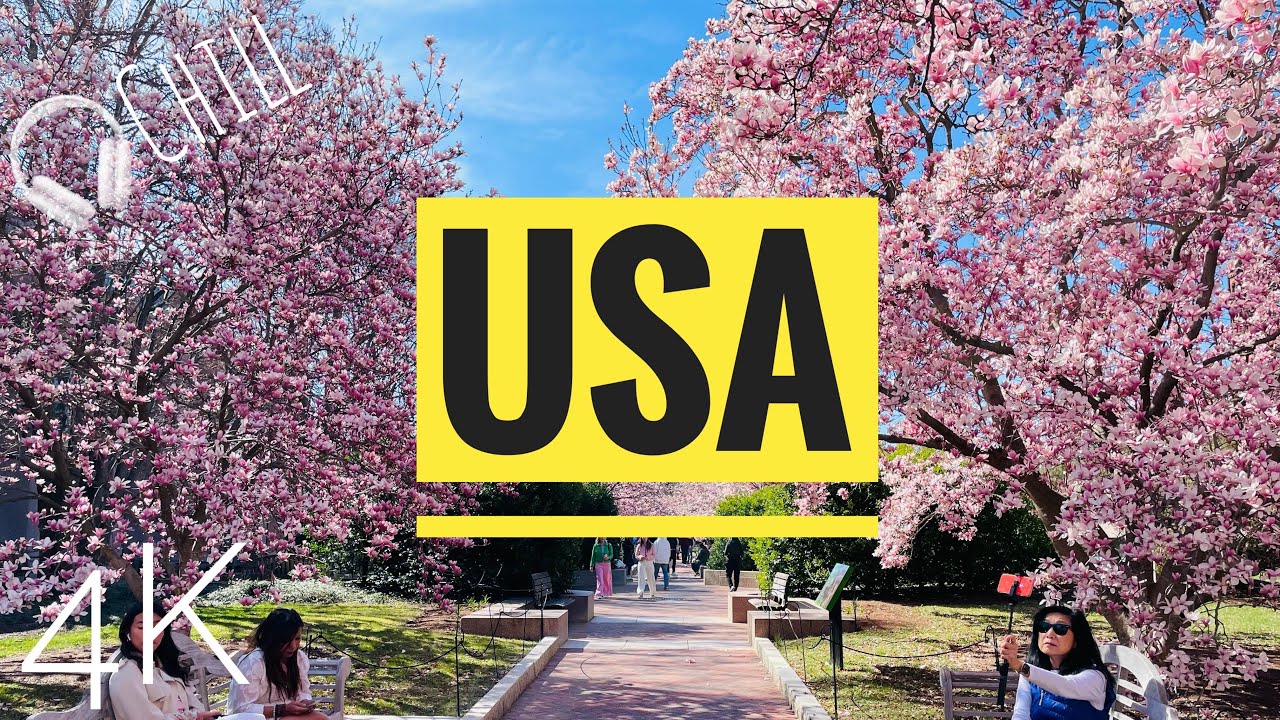 Washington DC, US. Virtual 4K tour /walk. Cherry blossoms, Washington ...