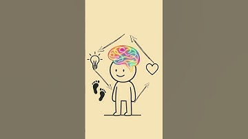 Neuroplasticity Explained Step-by-Step