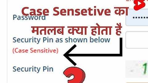 Case Sensitive Meaning -केस सेंसेटिव का अर्थ क्या होता हैं