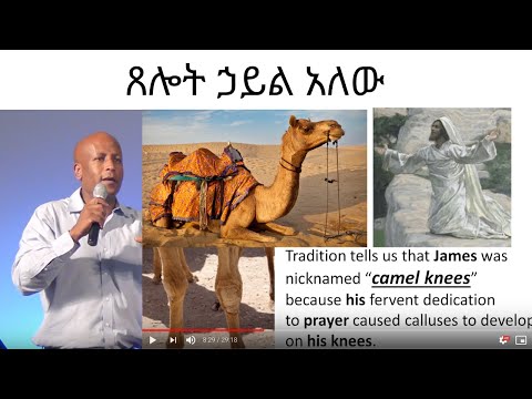 ቪዲዮ: አንድ ሸሪፍ ምን ኃይል አለው?