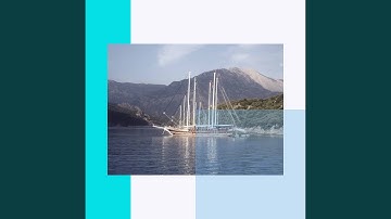 Cultivated Ambiance for Relaxing and Reading Time