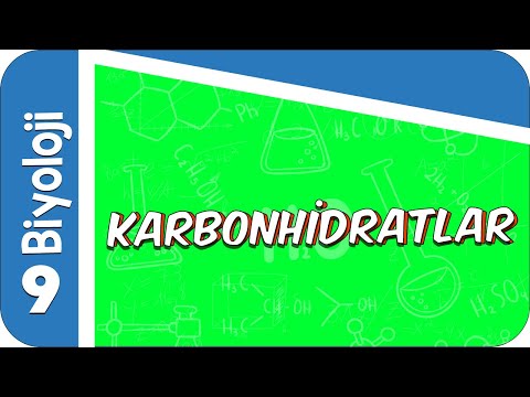 9. Sınıf Biyoloji: Karbonhidratlar #2022
