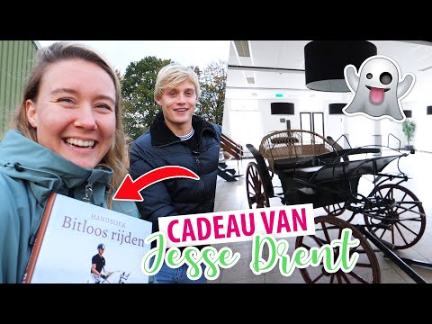 VERLATEN MANEGE & JESSE komt CADEAU brengen! | felinehoi VLOG #409