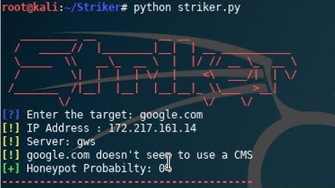 Install an offensive information and vulnerability scanner