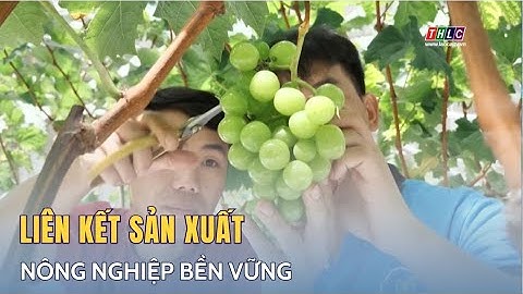 Hình thành các liên kết sản xuất nông nghiệp bền vững | THLC