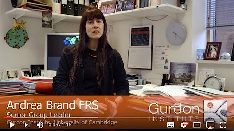 Gurdon Institute | Meet Andrea Brand