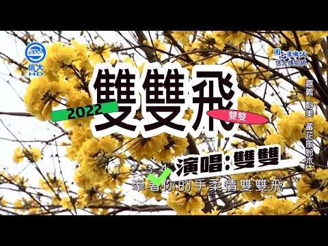 雙雙【雙良宇】_雙雙飛(信大電視台)