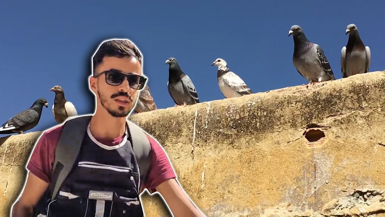 مشيت نشري نتوة لداك الذكر القبيح، رجعت لقيتو تزوج 😆
