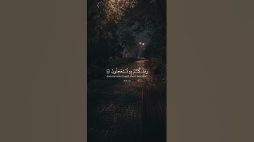سورة يونس اية 51_52  القارئ عبد الرحمن مسعد