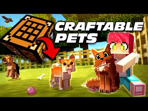 Video: Go Pets For DS