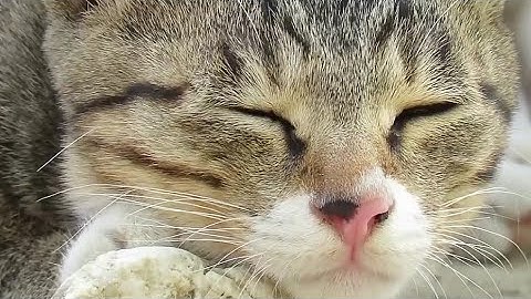 My part in La Cueva (Layout by 3niv)