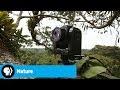 Wildlife Filmmaking in the Amazon