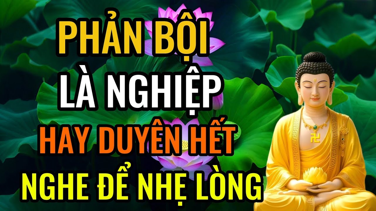 Bị Phản Bội Trong Hôn Nhân – Luật Nhân Quả Theo Lời Phật Dạy