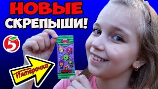 БРАВЛЫ! Новая АКЦИЯ в ПЯТЁРОЧКЕ // Мой первый СКРЕПЫШ-БРАВЛЕР (vlog)