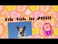 2018 in 2 minutes = Tik Tok Official