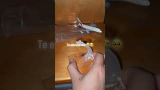 #avion #plane #airbusa380 #pilot #fyp #paratiiiiiiiiiiiiiiiiiiiiiiiiiiiiiii #airbus