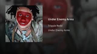 Under Enemy Arms