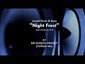 Liquid drum  bass intelligent  night frost by big buddha project