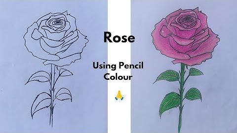 How To Draw A Rose 🌹 step-by-step Slow Drawing Tutorial #rose #rosedrawing #easydrawing #flowers