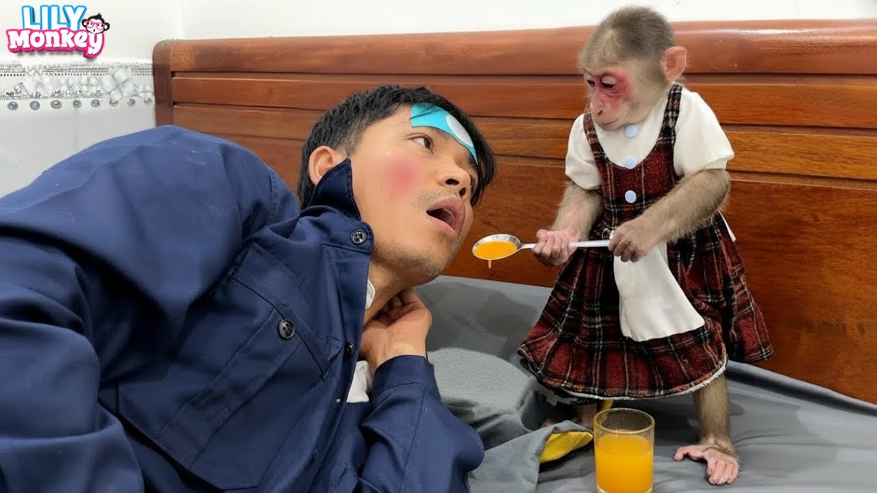 What will Lily do when her dad has a high fever? | Lily's story