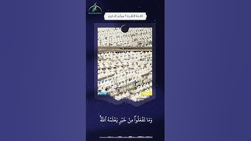 الْحَجُّ أَشْهُرٌ مَّعْلُومَاتٌ || القارئ : هيثم الدخين || آيات الحج