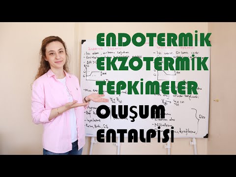 Video: İleri reaksiyon endotermik mi yoksa ekzotermik mi?