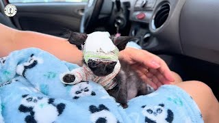 46 Günlük Ve Şişmiş Halde, Sevgi Onu Kurtarana Kadar Sadece Bir Yaşam Belirtisiydi.