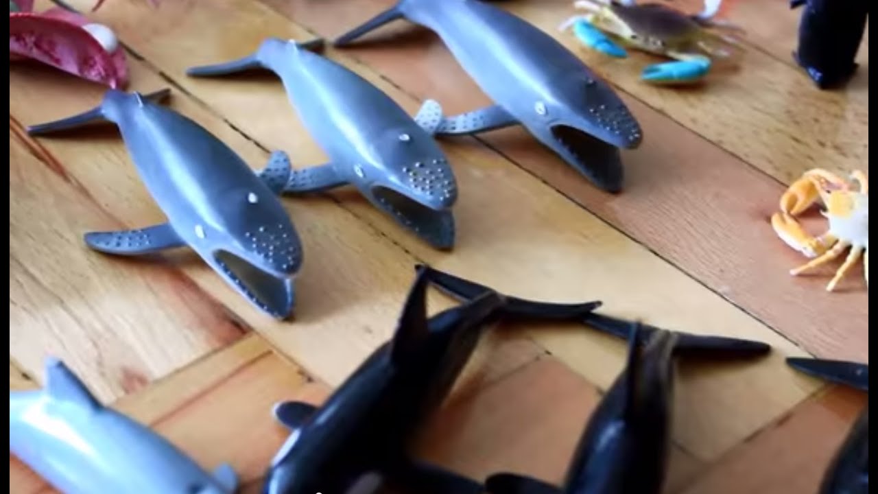 vfx shark toy