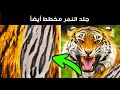 أكثر من 100 حقيقة عشوائية كنت أظنها كذباً