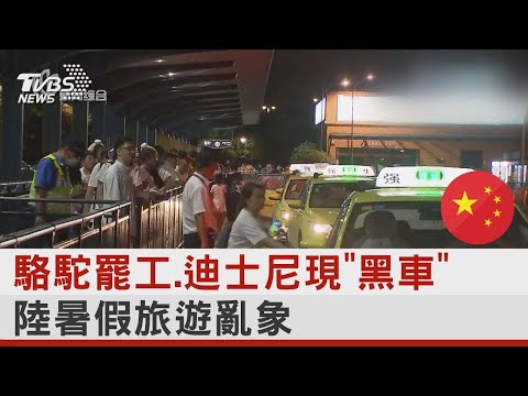 駱駝罷工.迪士尼現「黑車」 中國大陸暑假旅遊亂象｜TVBS新聞 @tvbsplus
